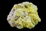 Yellow Sulfur Crystals on Matrix - Steamboat Springs, Nevada #154348-1